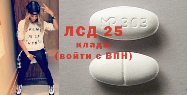 прущий лед Бородино