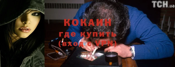 прущий лед Бородино