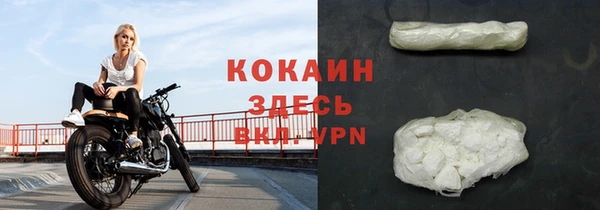 прущий лед Бородино