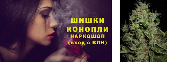 прущий лед Бородино