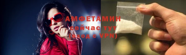 прущий лед Бородино
