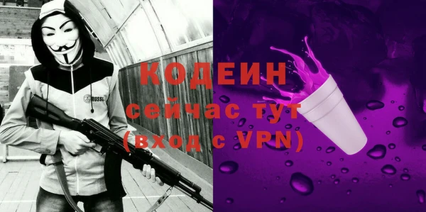 прущий лед Бородино