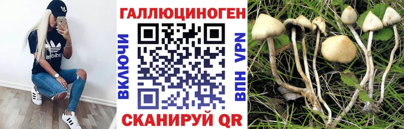 Галлюциногенные грибы Psilocybine cubensis  Талдом 